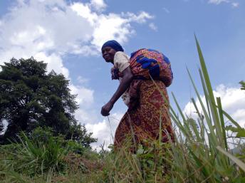 Dans la région de Beni, au Nord-Kivu, les habitants vivent dans la crainte d'être enlevés par les ADF-Nalu. AFP PHOTO / LIONEL HEALING