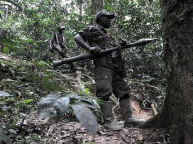 Des rebelles rwandais hutus du FDLR, à 150 km au nord-ouest de Goma, en 2009 AFP/ Lionel Healing