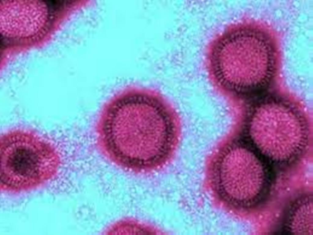 Ukraine: l'OMS recommande à Kiev de détruire les agents pathogènes utilisés dans ses laboratoires