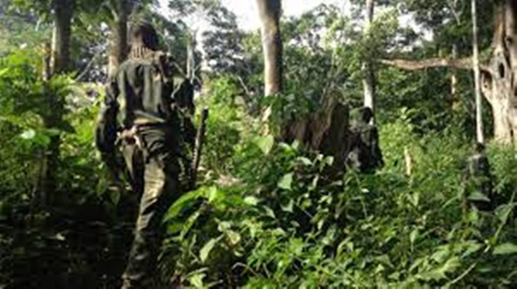RDC: le gouvernement reconnaît une «défaillance» de l'armée lors d'une opération contre le M23
