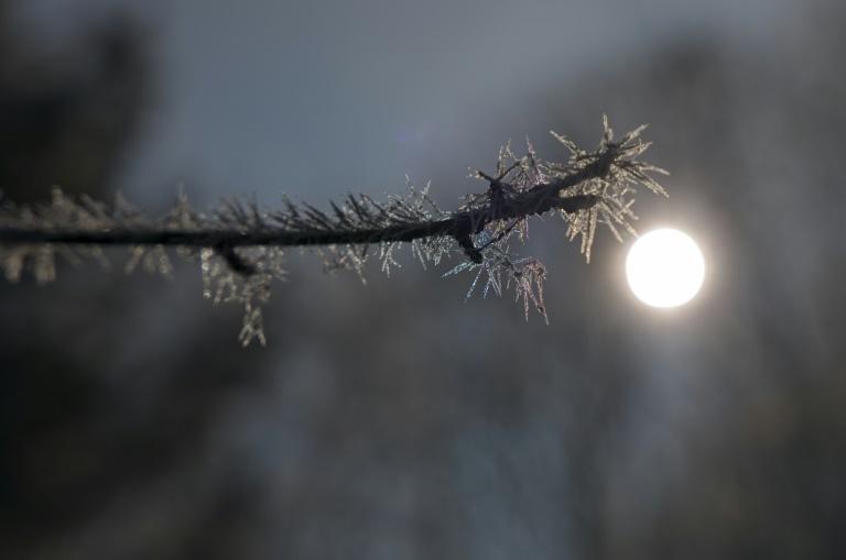 Gel en France: la nuit la plus froide depuis 1947 pour un mois d'avril