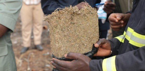 Médina : un non-voyant trouvé dans sa chambre avec 1kg de yamba, blesse un policier avec une machette