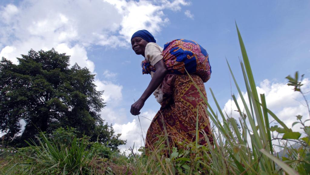 Dans la région de Beni, au Nord-Kivu, les habitants vivent dans la crainte d'être enlevés par les ADF-Nalu.