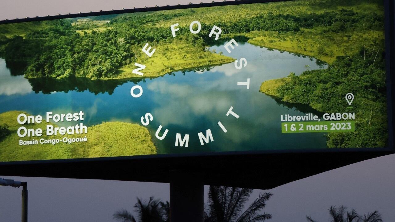 «One Forest Summit» au Gabon: protéger la forêt tropicale