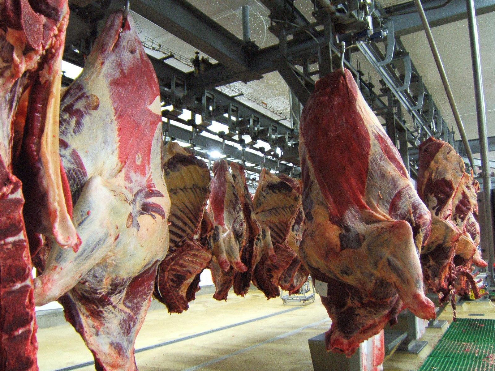 DPG- Elevage : Un abattoir moderne de 22 milliards prévu pour le pôle urbain de Diamniadio