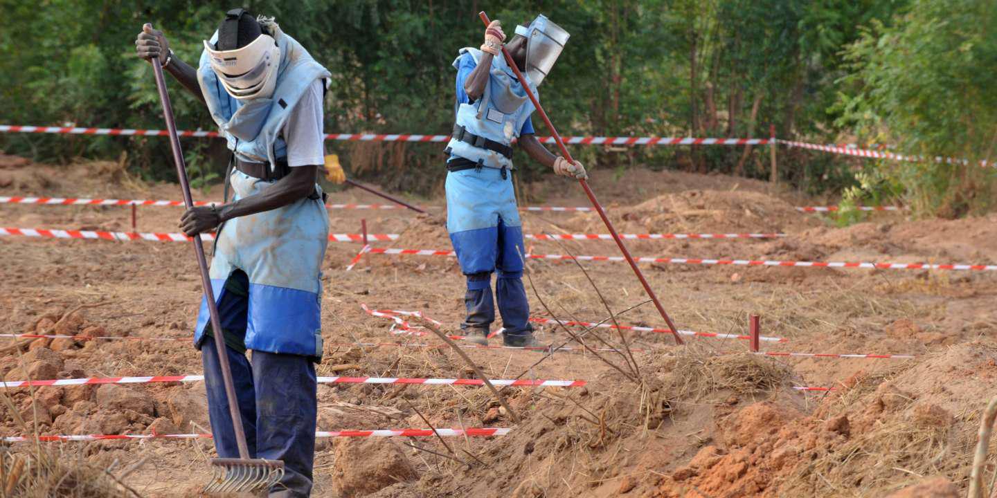 Casamance: Plusieurs zones libérées des mines et des restes explosifs de guerre (gouverneur)