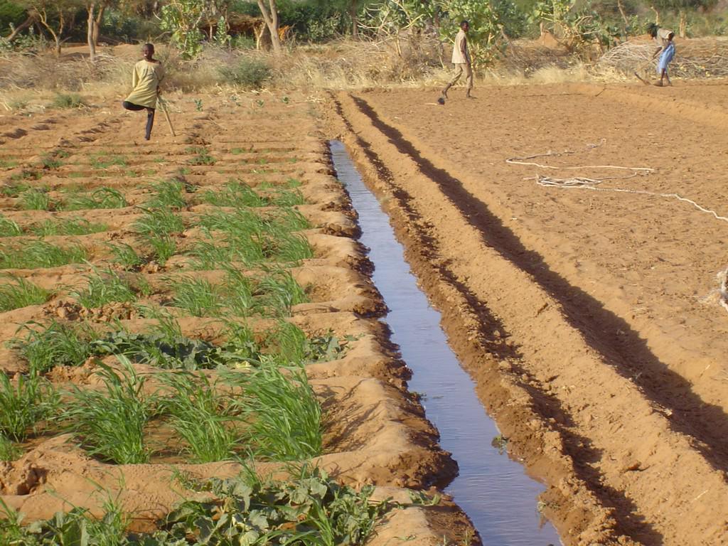 Sahel: un task Force pour « Forger la résilience et accélérer la croissance au Sahel et relance de l'agriculture irriguée»