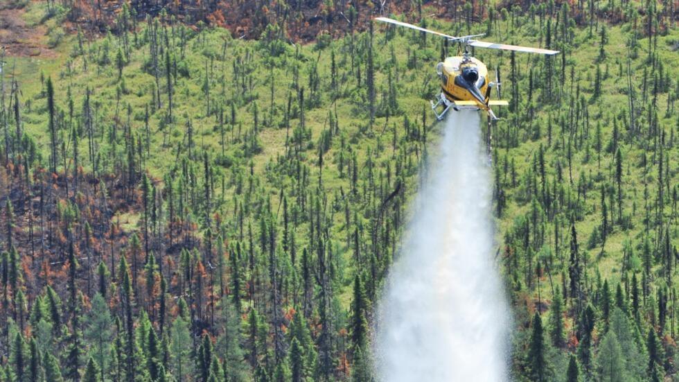 Les feux de forêts au Canada ont généré un record d'émissions de carbone