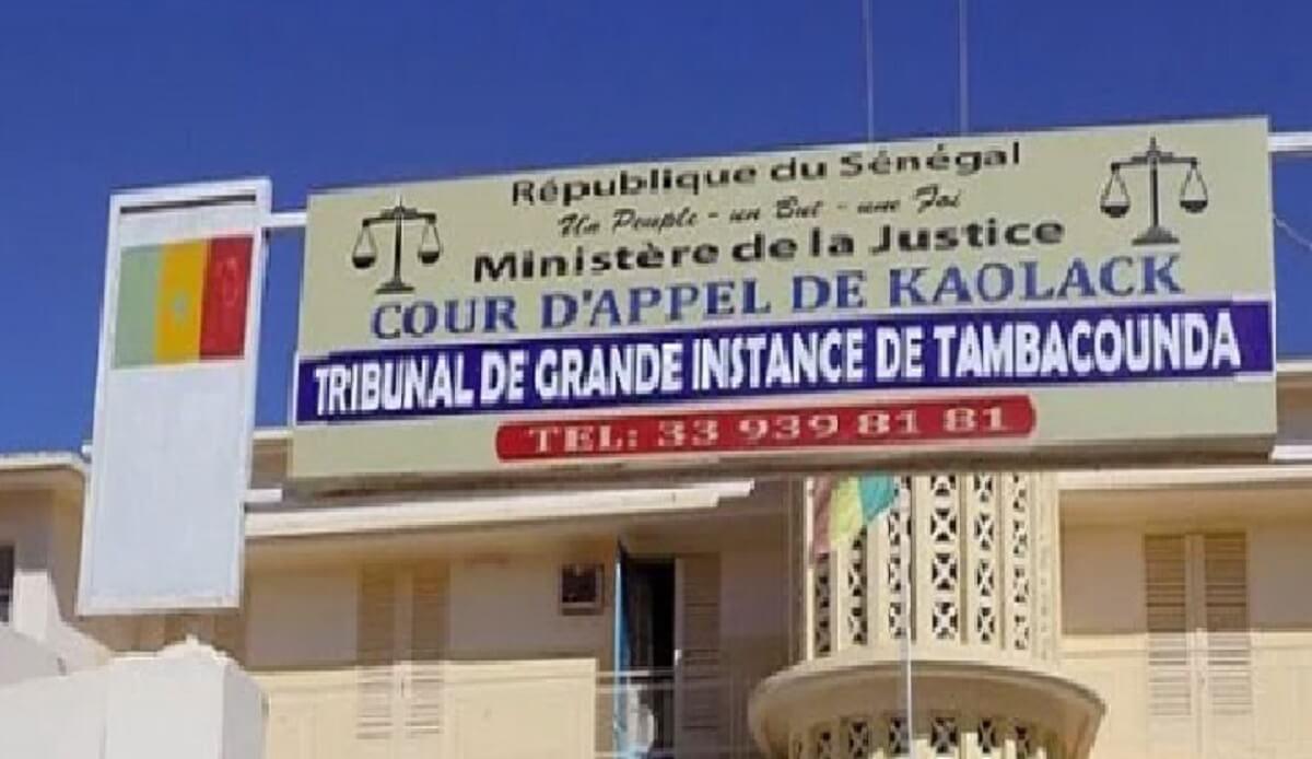 Tentative de viol à Tamba : un berger condamné à 2 ans de prison