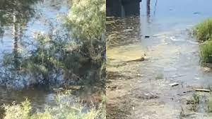 Cité nouvelle horizon: un garçon âgé de 12 ans meurt noyé dans un bassin