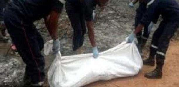 Bignona: après 46 jours de recherches, A. Badji et C.I. Mané retrouvés morts dans la forêt de Tenghory