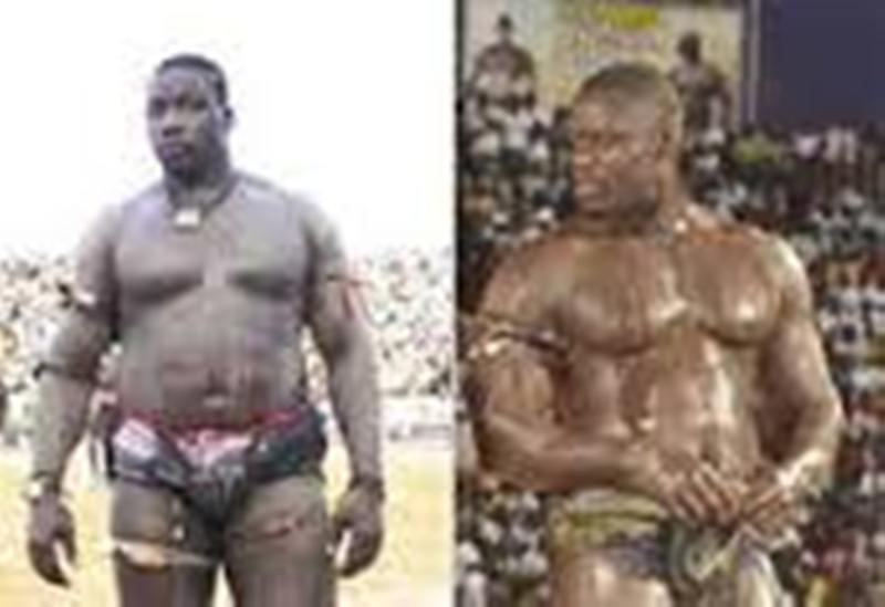 "Tyson va battre Gris Bordeaux", Baye Mandione