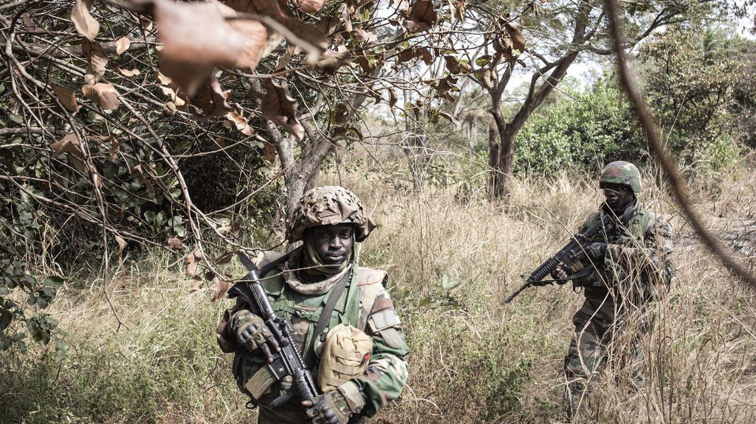 Gambie : la présence des soldats sénégalais de l’Ecomig rassure la population (diplomate)