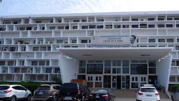 Tentative d'affectation d'Ismaila Madior Fall à l'IFAN : le Sudes/Esr dit niet