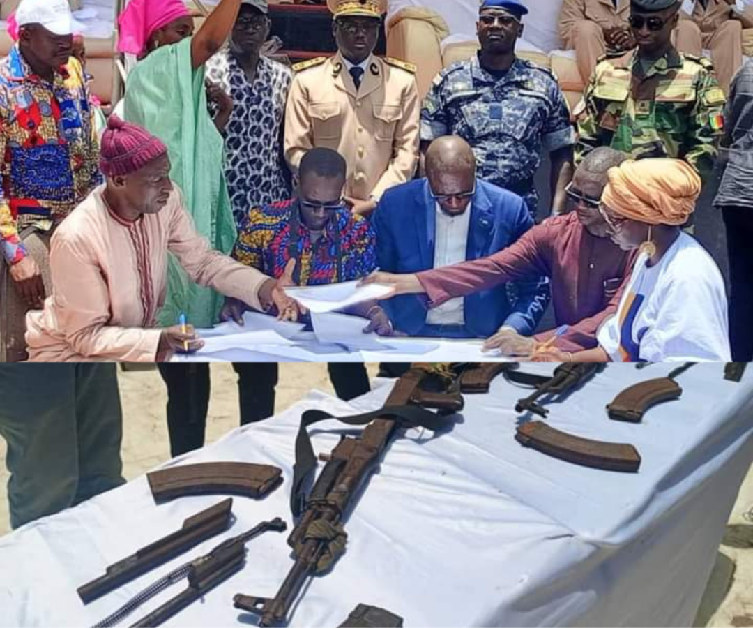 Désarmement en Casamance : un « succès » grâce à une « collaboration étroite » entre différents partenaires clés (rapport)