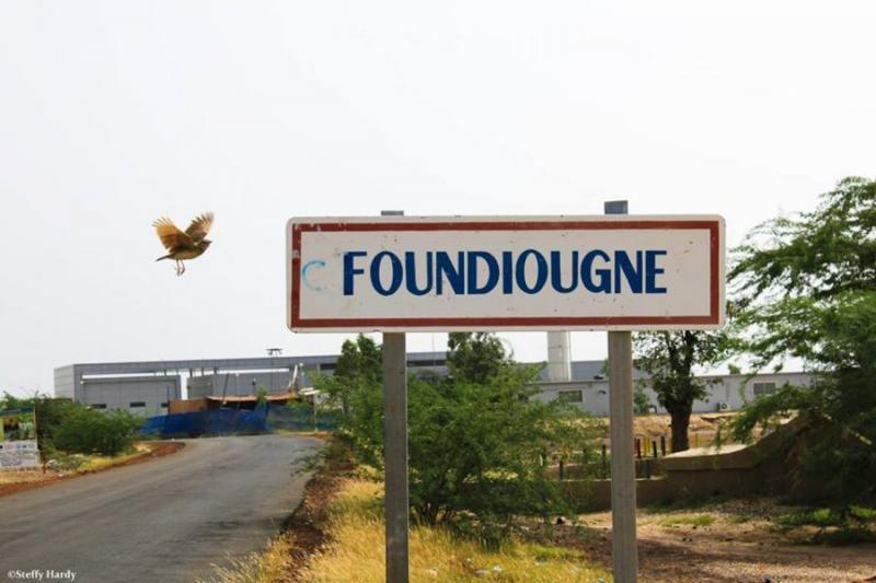 Cousinage à plaisanterie : Foundiougne va abriter un festival de deux jours