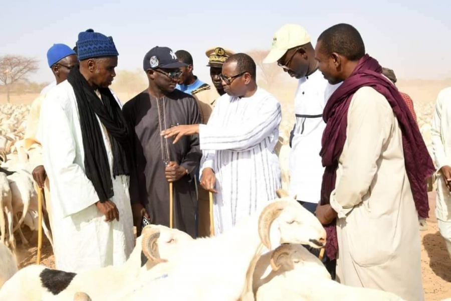 Préparatif de la Tabaski 2024 : " le Sénégal a déja comblé plus de 50 % du déficit en moutons á résorber" (Mabouba Diagne)