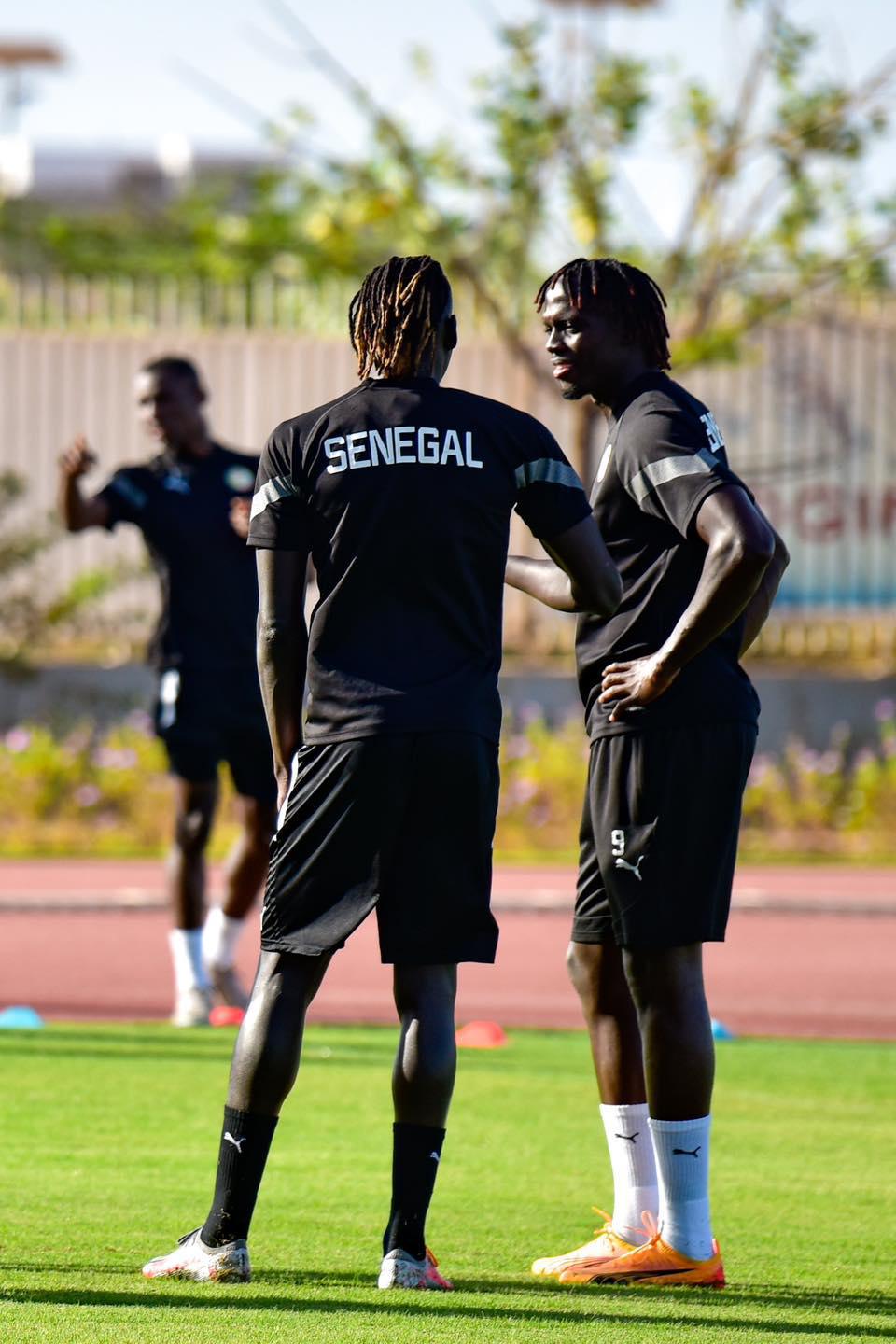 Chérif Ndiaye, attaquants des « Lions » : « je vais aider l’équipe à atteindre ses objectifs »