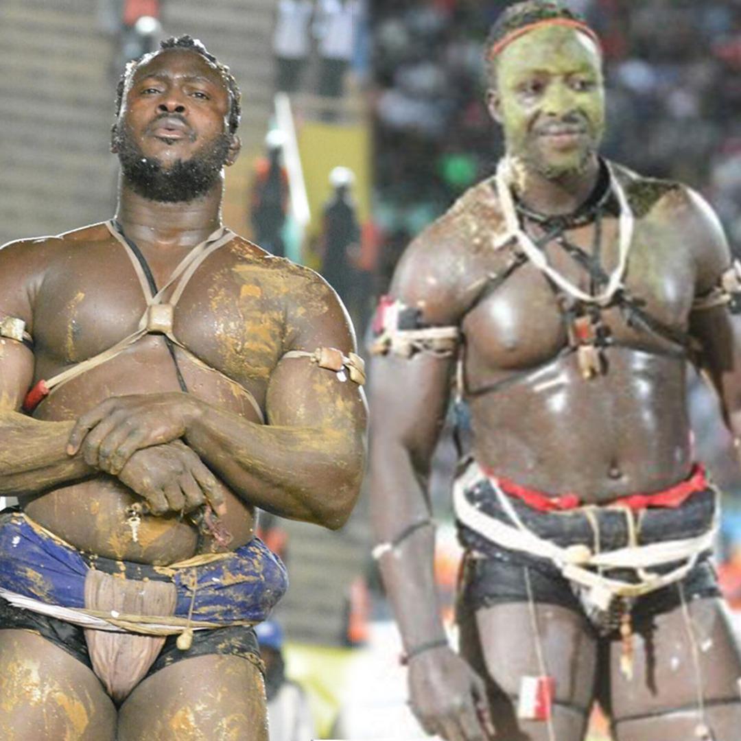 Lutte avec frappe : la date du face to face entre Modou Lô et Siteu connue