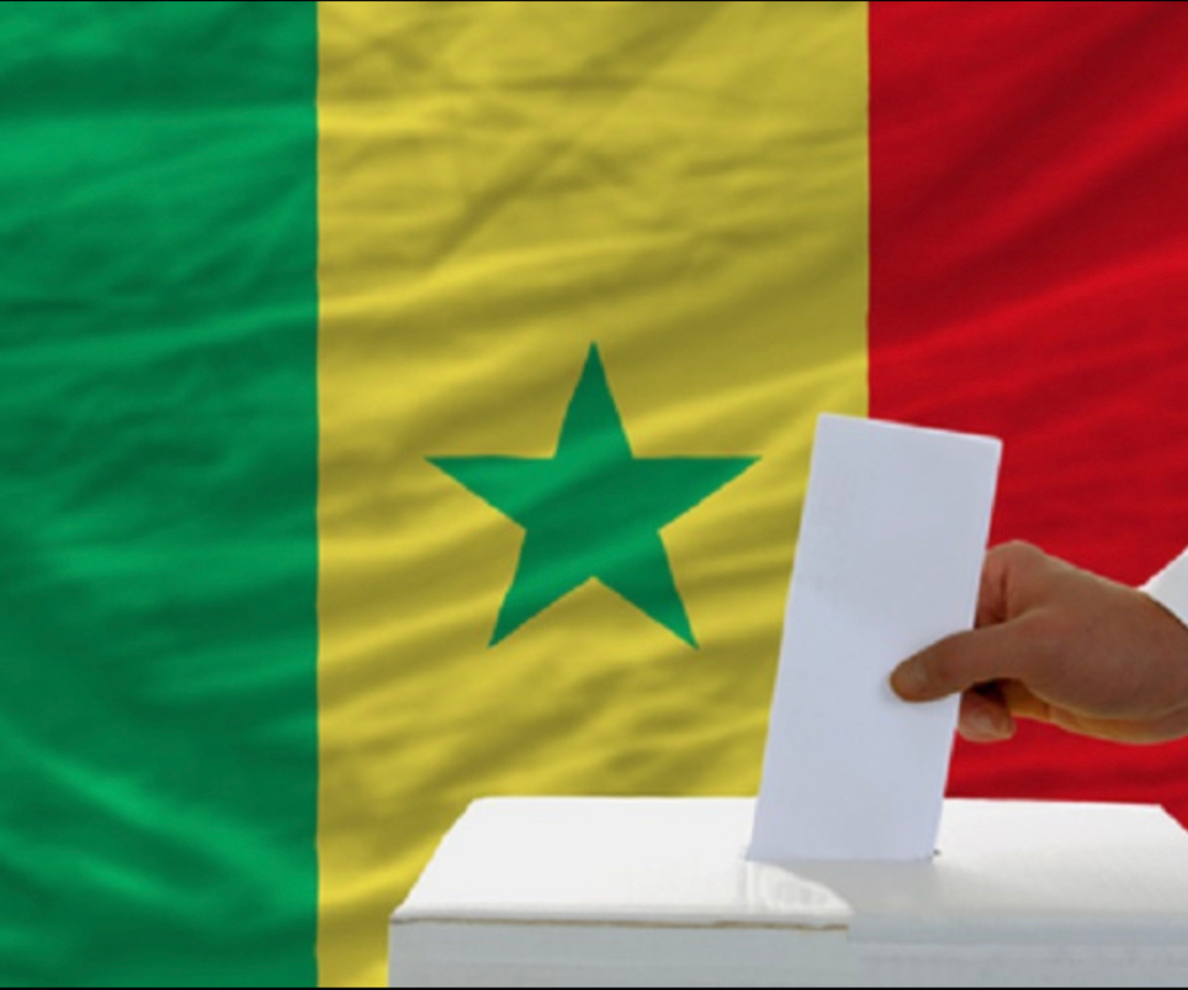 Election présidentielle 2024 : deux réflexions et d'analyses sur les dysfonctionnements relevés (COSCE)
