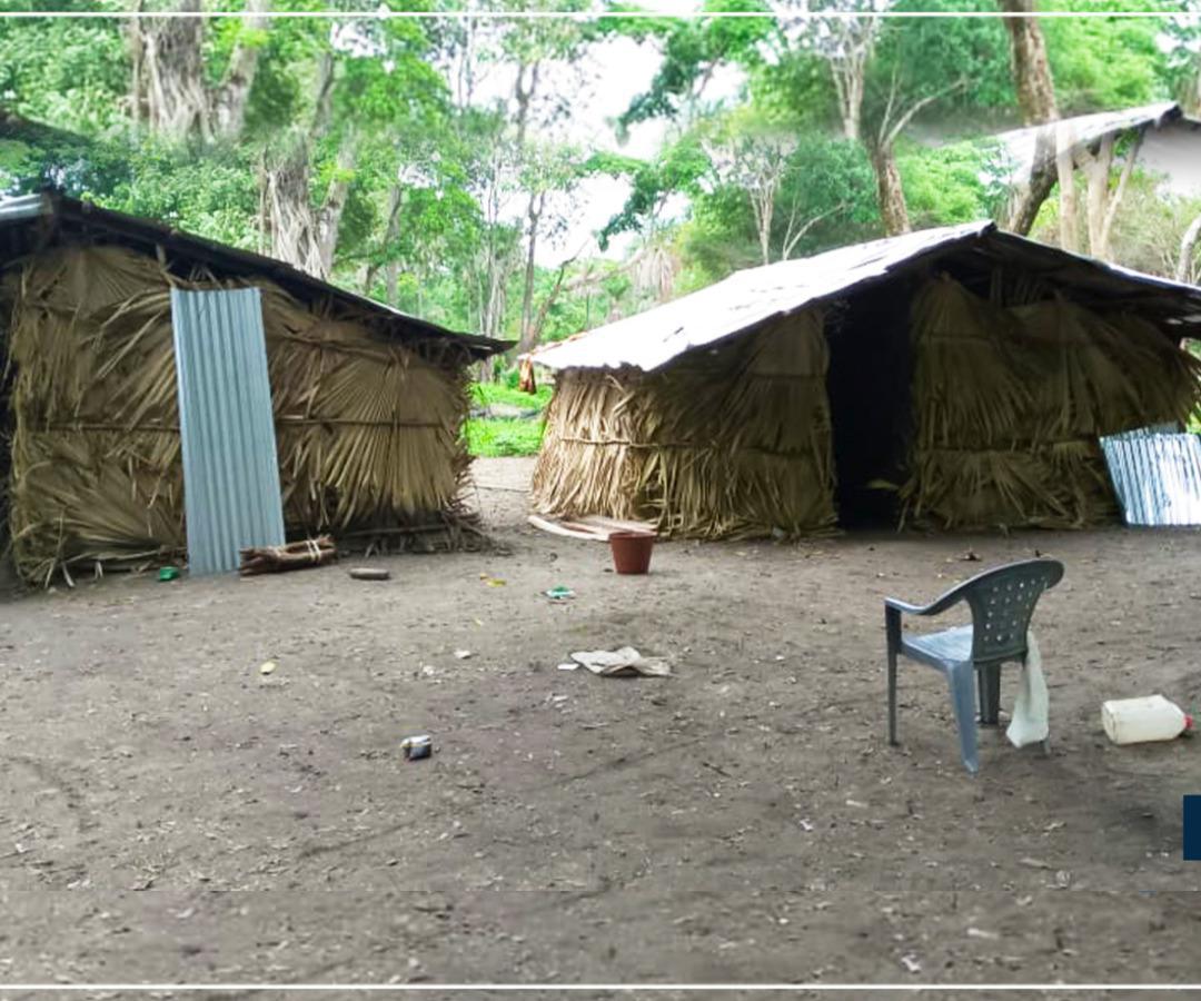 Casamance-Boussoloume : le village "fantôme" retrouve ses habitants qui avaient fuient la guerre 33 ans après 