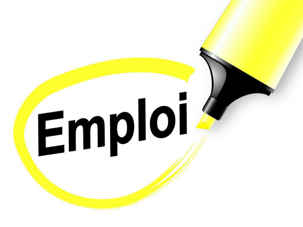 Rapport du travail en 2023 : la fermeture d’établissement connaît un net recul, plus de 579 emplois supprimés