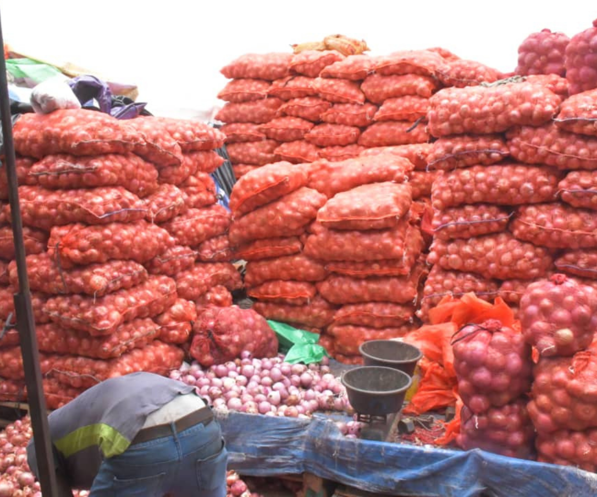 Oignon local : une surproduction de 3050 tonnes attend sur le marché