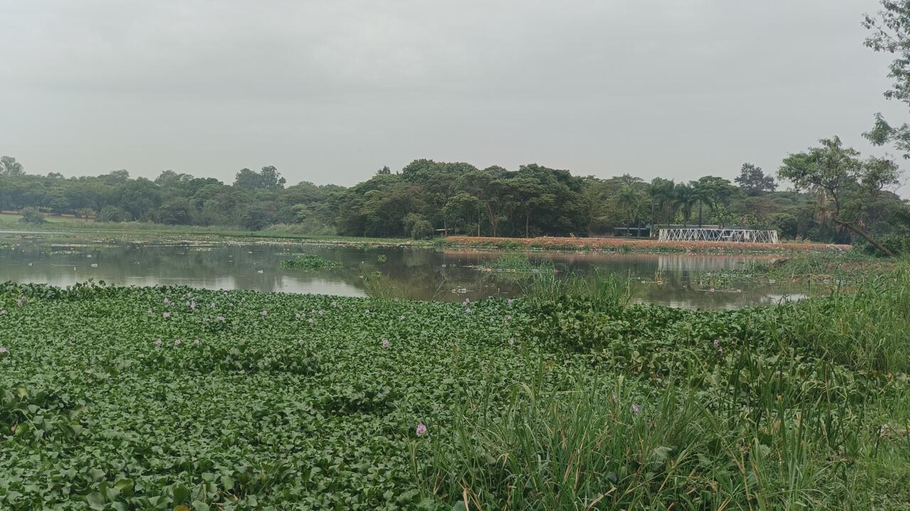 RDC: la polémique enfle autour de la construction d'un parc nautique à Lubumbashi