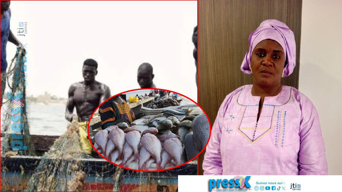 "Les pêcheurs de la Langue de Barbarie, vivent encore avec les conséquences de l'exploitation du gaz" (Fama Sarr)