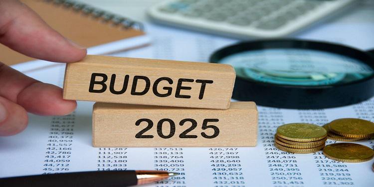 Projet de loi de finances 2025 : tout ce qu’il faut savoir sur le budget de l'année