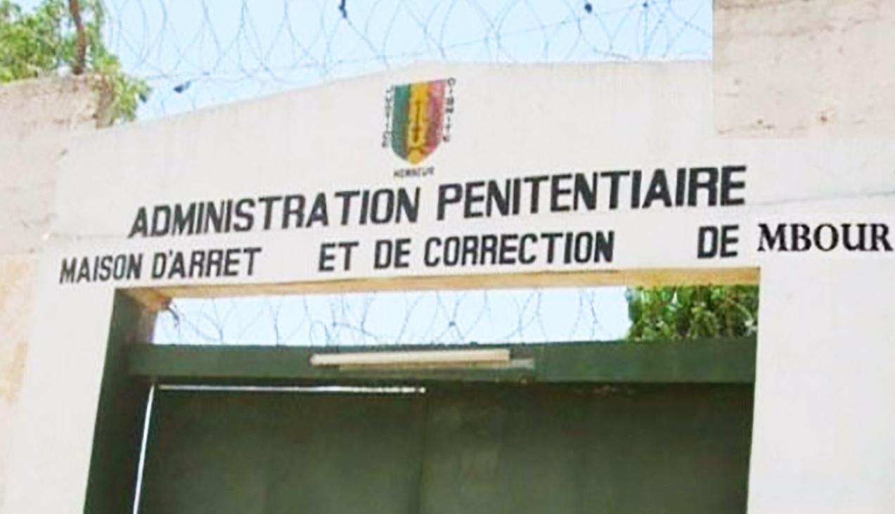 Prison de Mbour : les gardes interceptent du chanvre indien planqué dans un poulet, le livreur et son client identifiés