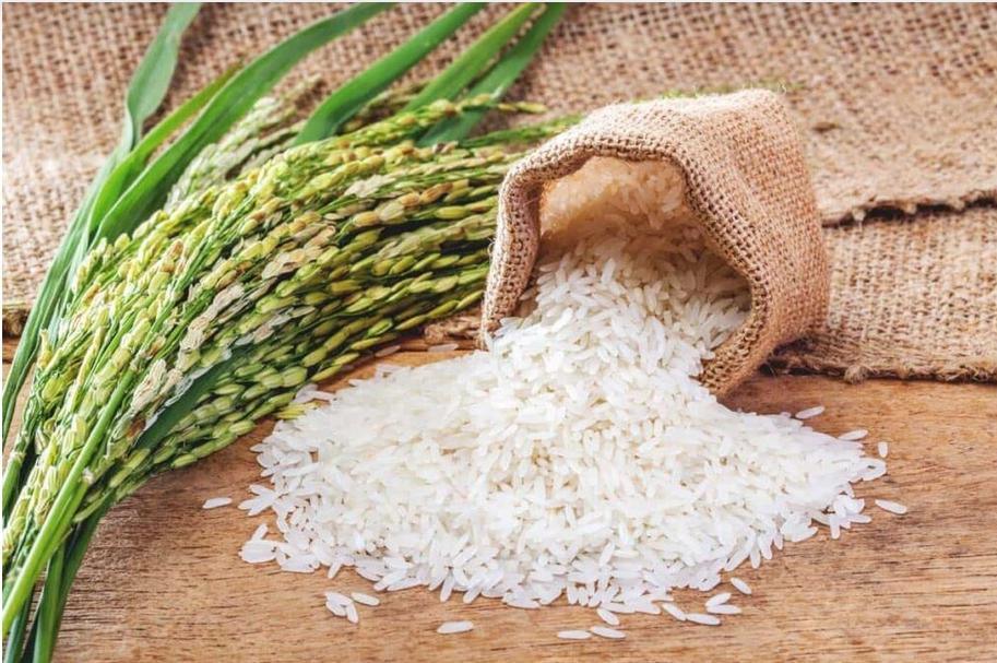 Sénégal : le riz local enrichi en micronutriments pour combler «la faim cachée», les carences nutritionnelles