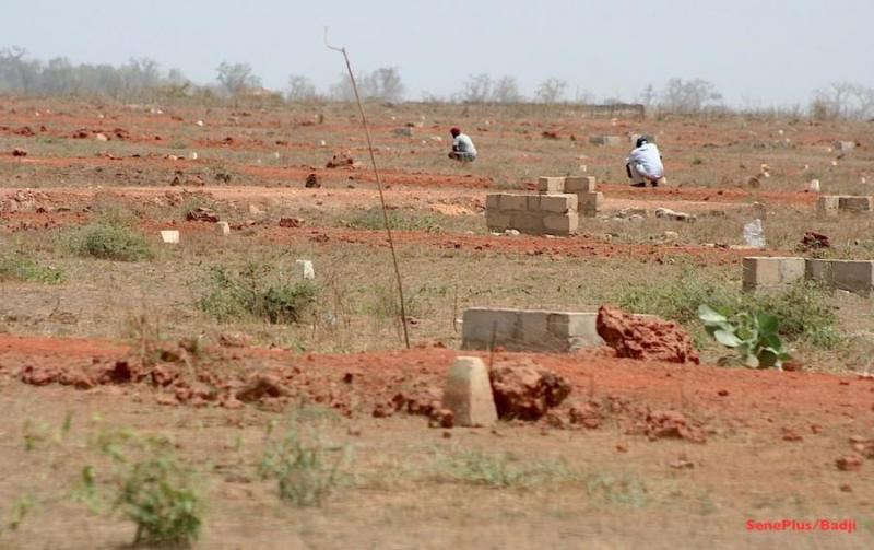 Spoliation foncière portant sur 600 hectares à Yary Gouye : les habitants rétablissent la vérité