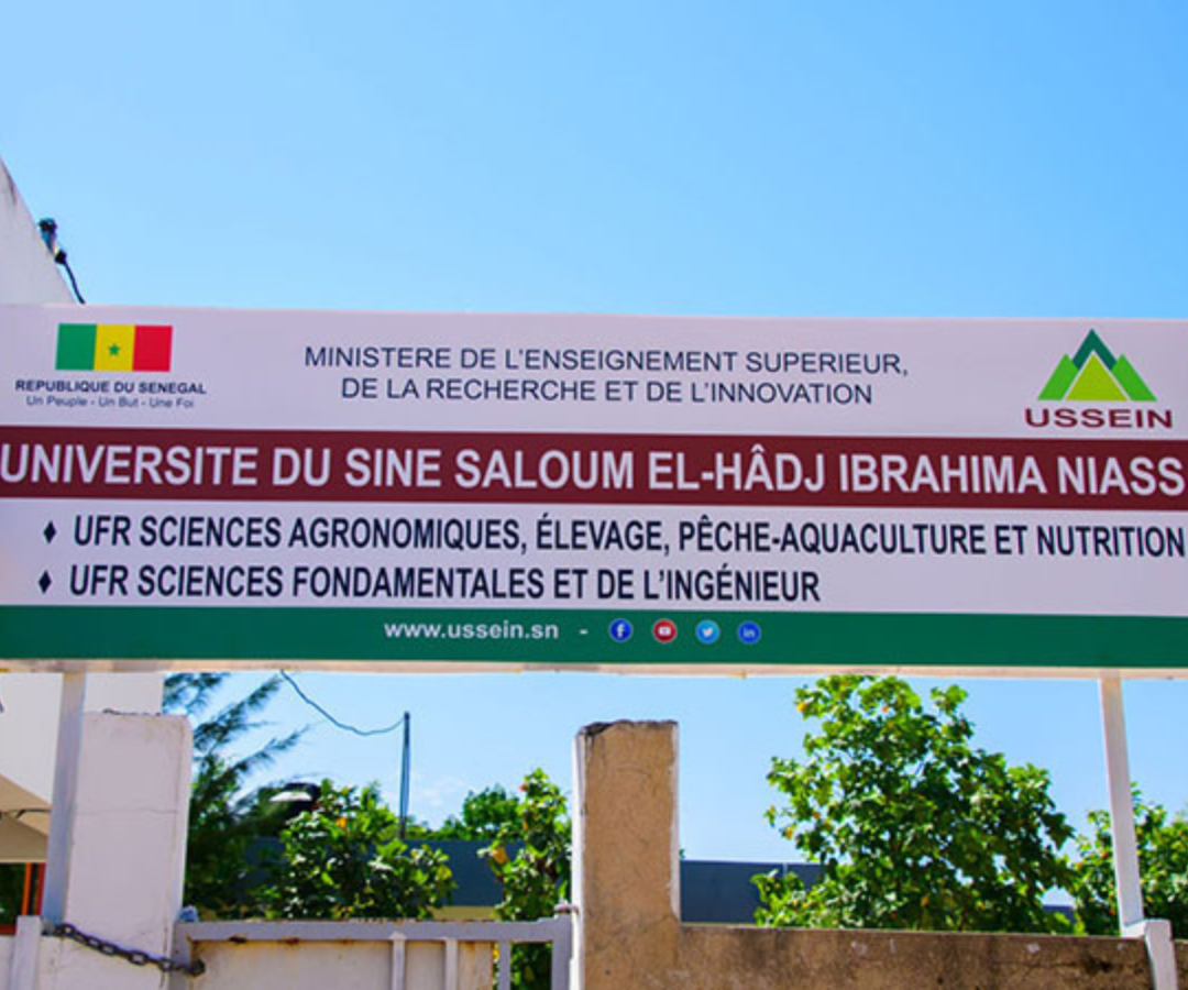 Université Sine Saloum : le Conseil d'Administration s'oppose au licenciement de plus de 300 agents