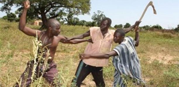 Incident à Keur Mame Marème : un cultivateur tué lors d'une altercation