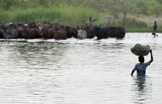 Tchad : 27 tués dans un triple attentat-suicide sur une île du lac Tchad