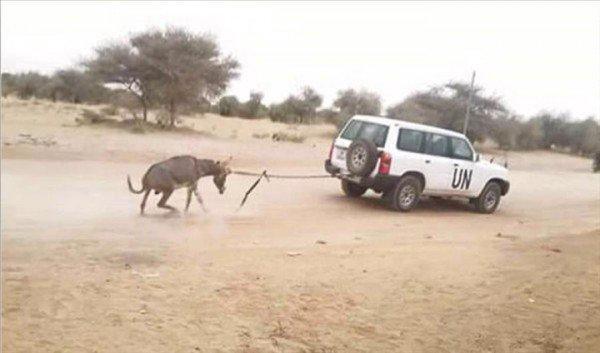 MALI : Cette image « assassin » de l’ONU en Afrique