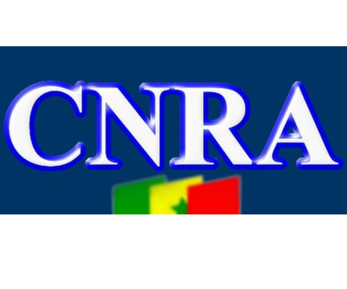 Utilisation des réseaux sociaux au Sénégal : le CNRA plaide pour leur régulation