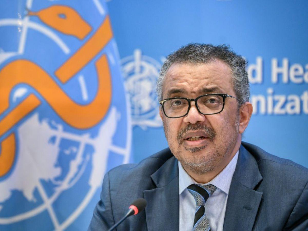 Risque pandémique : « C'est maintenant ou jamais » pour conclure un accord, selon le patron de l'OMS