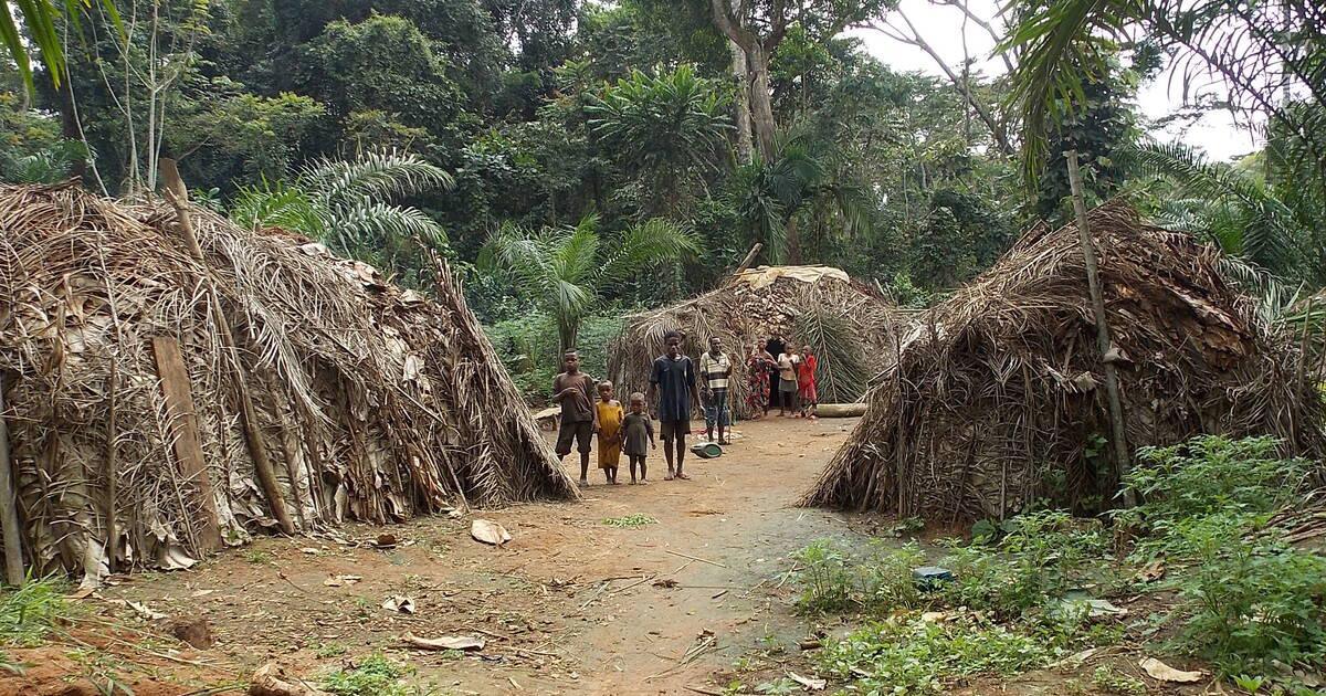Cameroun: découverte d'une fosse commune dans une plantation vers Édéa