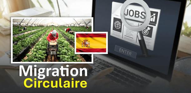Migration circulaire Sénégal- Espagne : la phase des entretiens clôturée hier jeudi