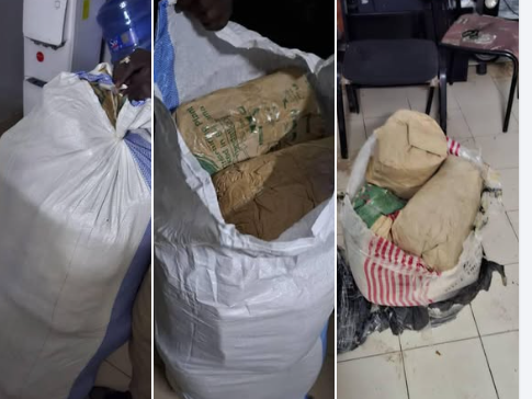 Trafic de drogue entre Dakar et Ziguinchor : Cinq individus interpellés par l’OCTRIS (POLICE)