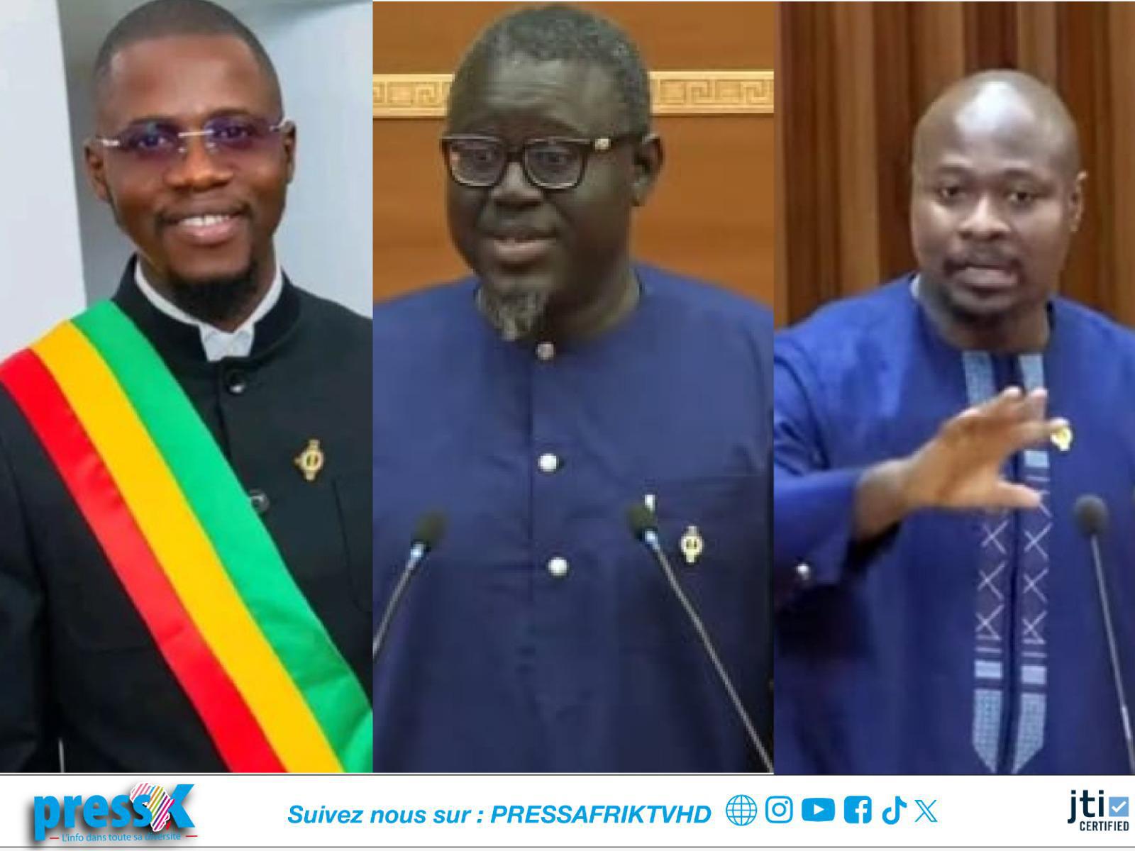 Imposition de cartes de séjour à des Sénégalais : des députés demandent la réciprocité et le respect des droits des Sénégalais à l'étranger
