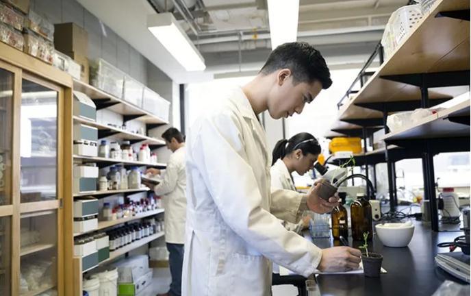 Départ des Scientifiques de Haut Niveau des États-Unis : La Chine devient un nouveau sanctuaire de la recherche