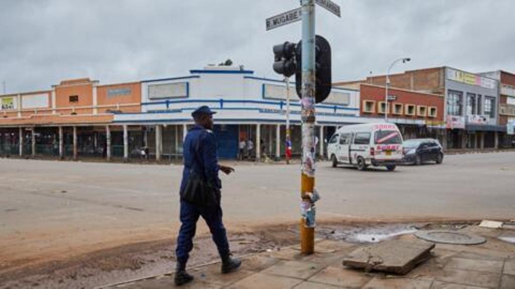 Zimbabwe: 95 interpellations lors d'une manifestation à l'appel d'un ancien cadre du parti au pouvoir