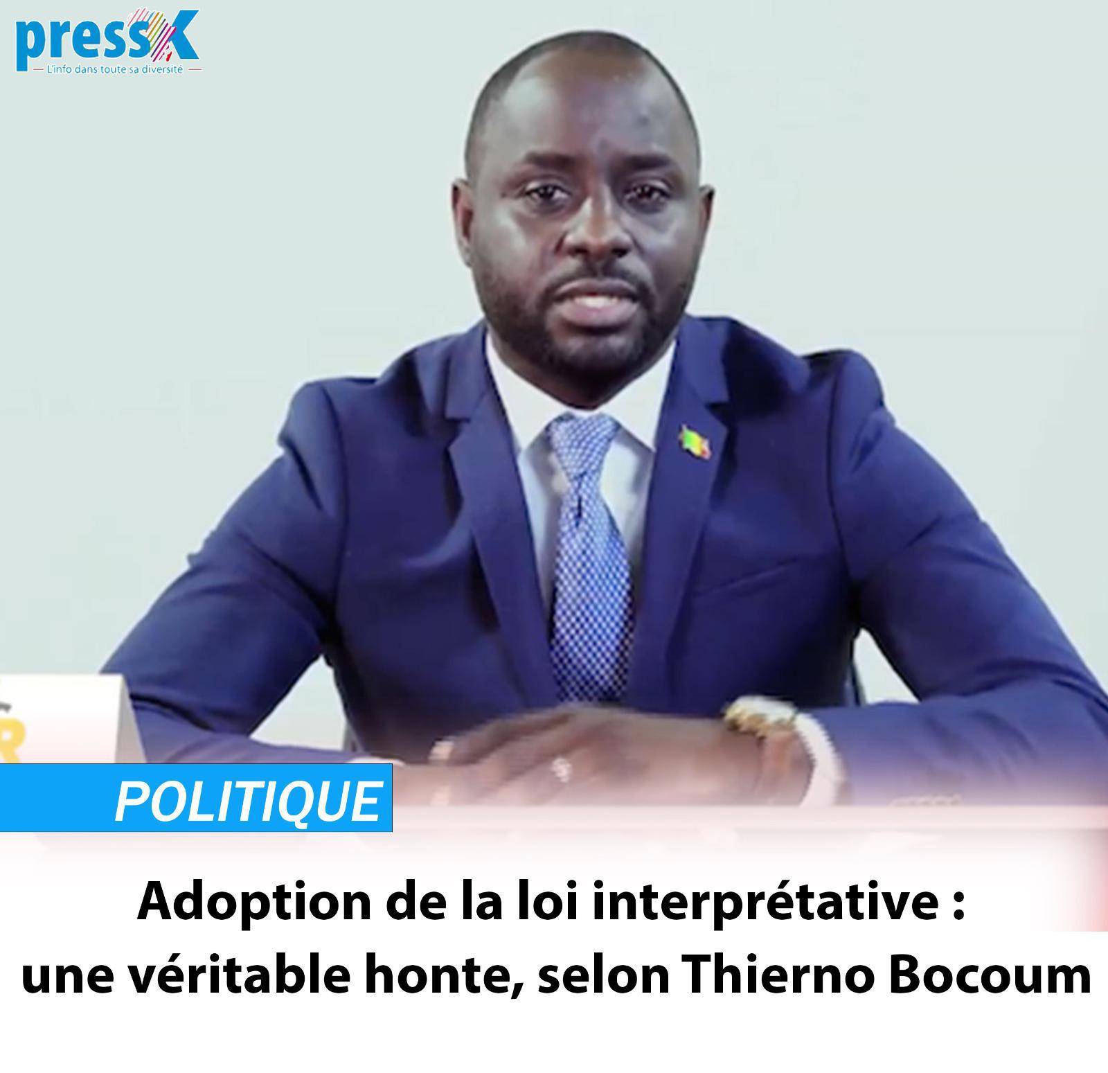 Adoption de la loi interprétative : une véritable honte, selon Thierno Bocoum