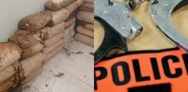 Rufisque : 46 kg de chanvre indien saisis par la police