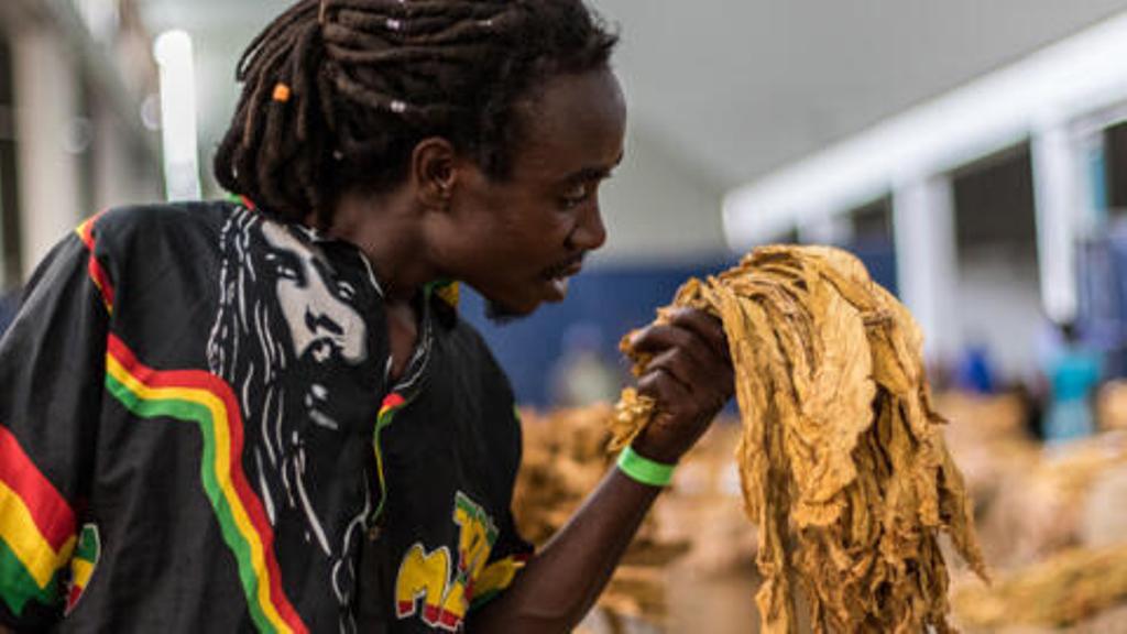 Droits de douane américains: le Zimbabwe suspend toutes les taxes à l'importation sur les produits américains