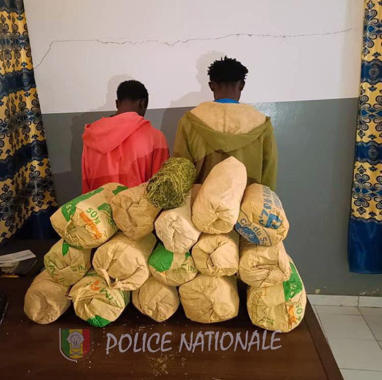 Sédhiou : deux (2) individus interpellés avec une quantité de 15 kg de chanvre indien