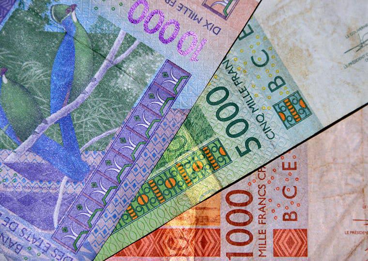 Franc CFA : indépendance monétaire et réalités économiques, (par Pr Amath Ndiaye)